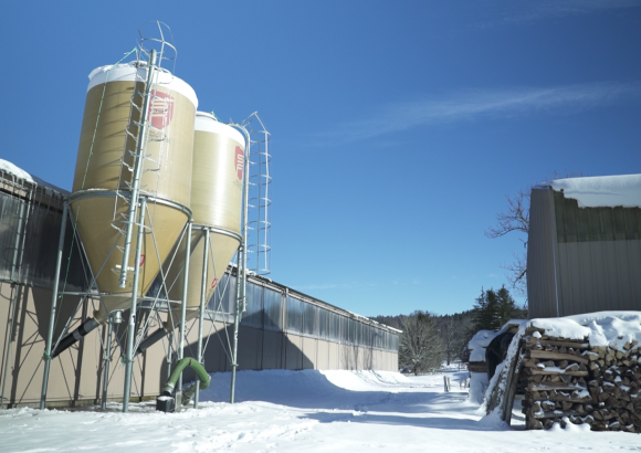 Preview image for the video "Construction d'une stabulation et d'une salle de traite par le GAEC du Sancy".
