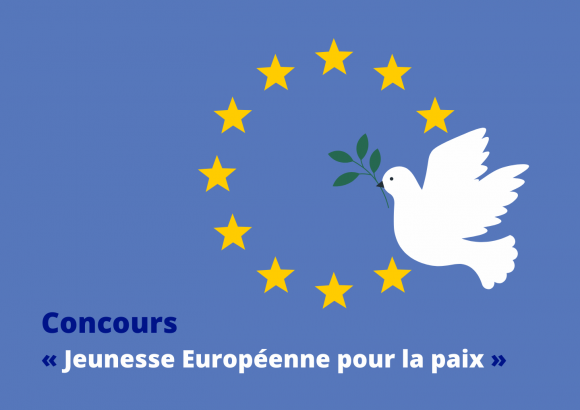 Preview image for the video "Retour en images sur la cérémonie de remise des prix des Régions René Cassin au Quai d'Orsay".