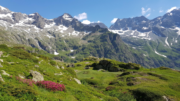 Conservatoire Botanique National Alpin - © S. Abdulhak Sommet montagneux